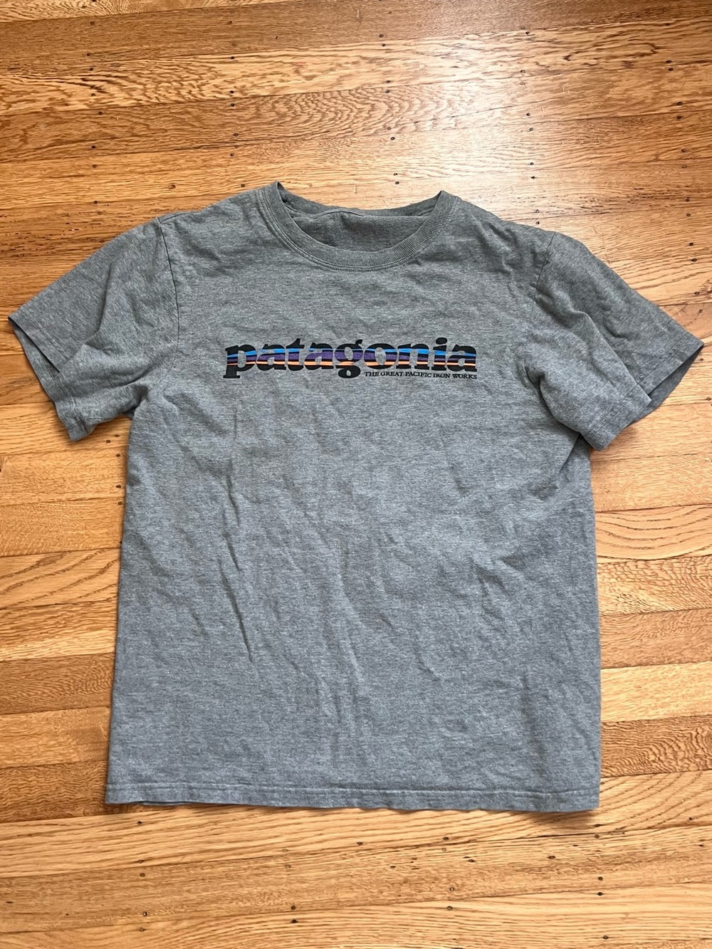 Patagonia Heather Gray Short-Sleeve Tee with Multicolor Striped Logo